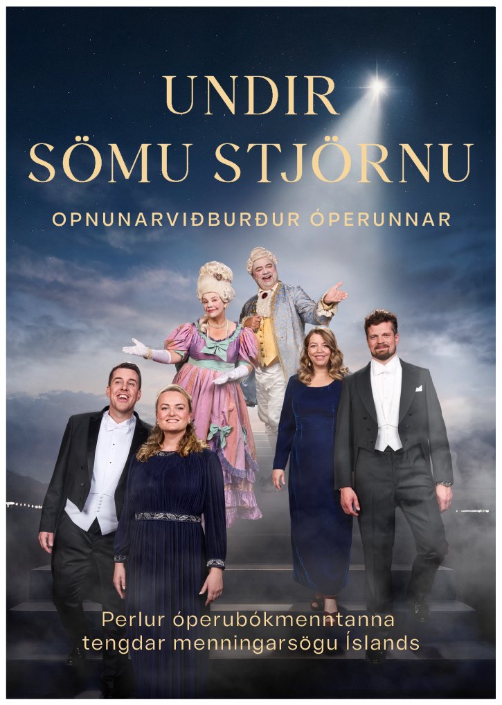Stækka mynd