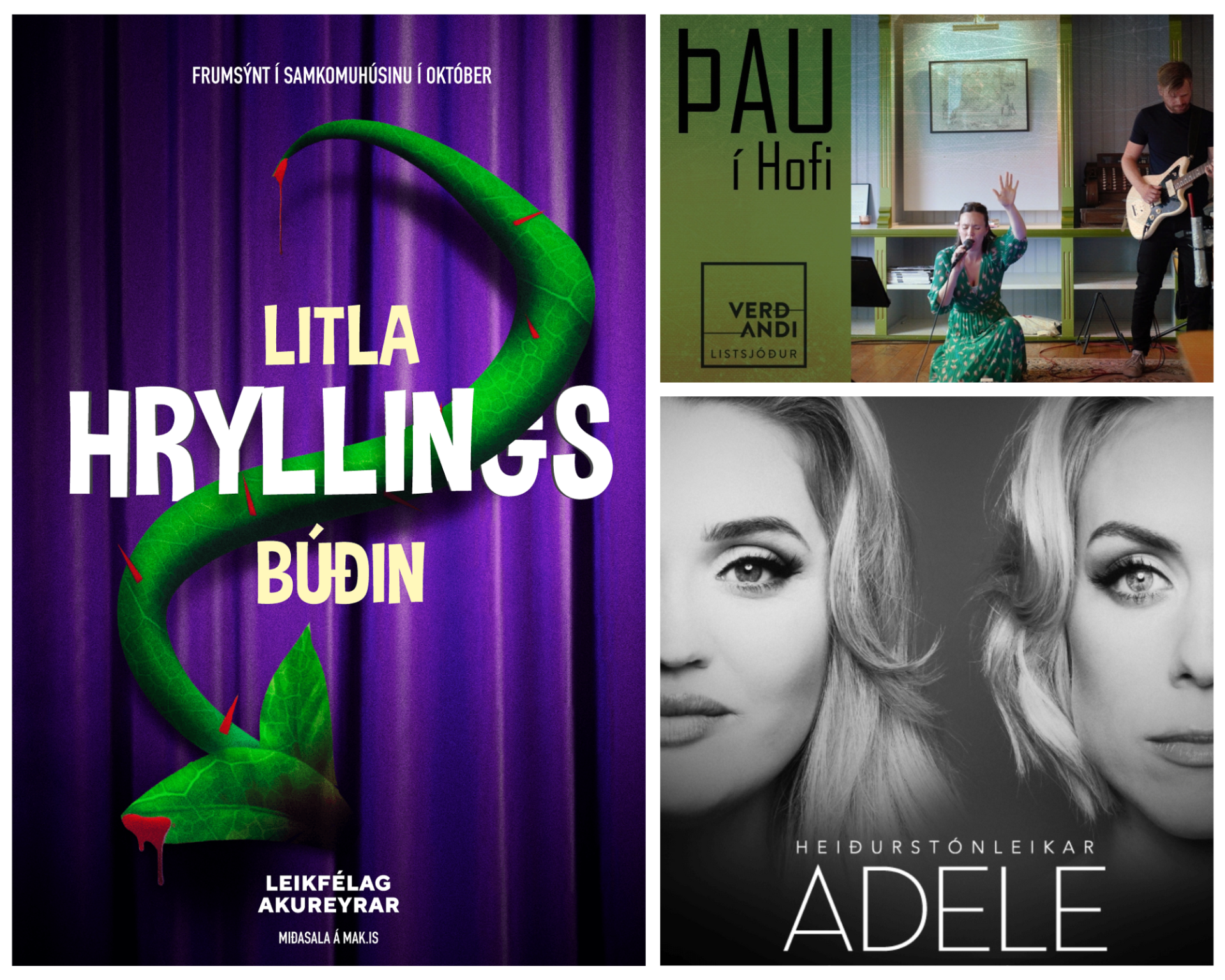 ÞAU, heiðurstónleikar Adele og leitin að Auði