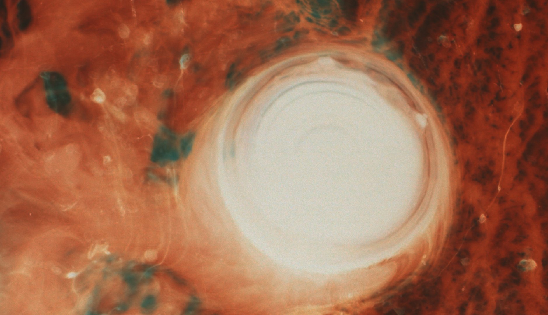 Framandi stjörnur og ljúfir tónar í tilefni 10+1 árs afmæli Hofs