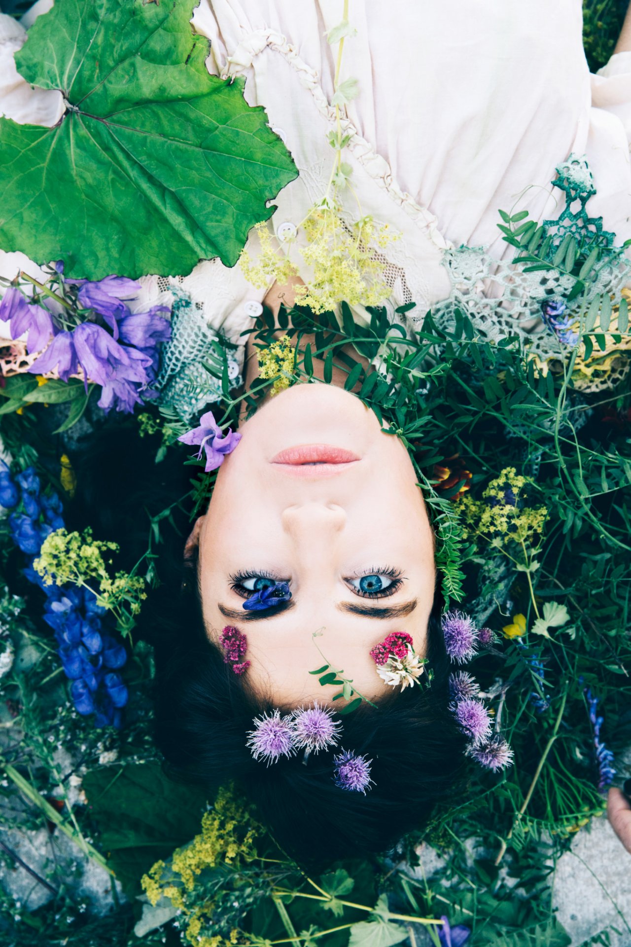 Vorið vaknar og Inn í skóginn