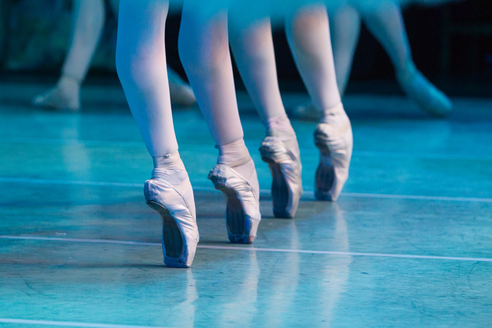 Efnisskrá Svanavatnsins