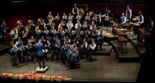 Svanur og Hundur í óskilum